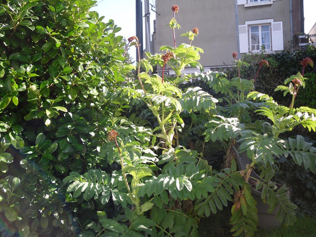 Appartement La Loob Gites De Daumesnil Etage Morlaix Room photo